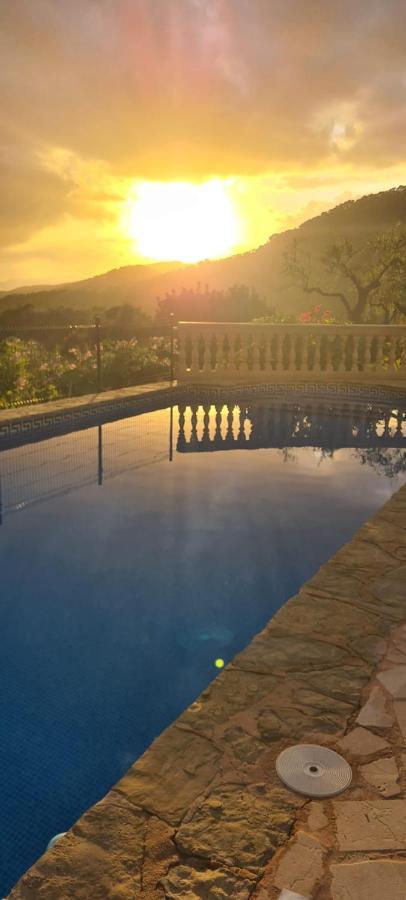 Villa Sa Teulera Etv7398 Ferienhaus Alaró